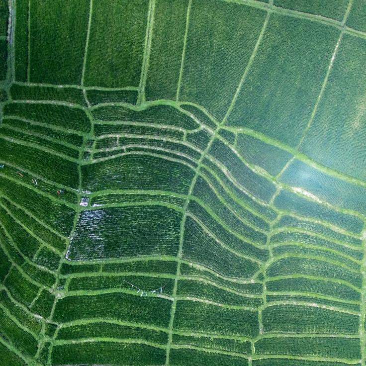 Outdoor terrace seating suitable for families in Paris